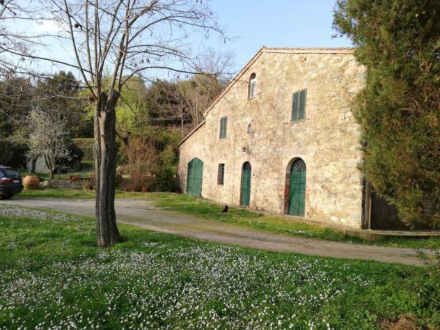 casa indipendente in vendita a Scansano