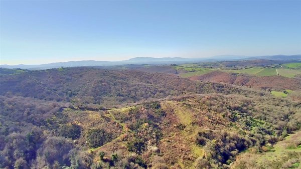 azienda agricola in vendita a Scansano