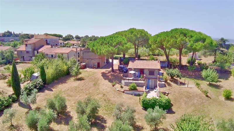 casa indipendente in vendita a Scansano