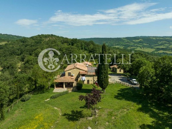 villa in vendita a Scansano