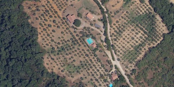 casa indipendente in vendita a Scansano in zona Polveraia