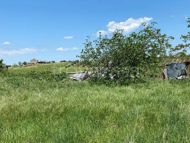 casa indipendente in vendita a Scansano