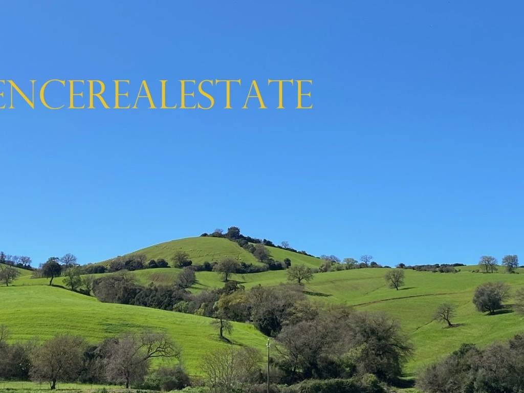 terreno agricolo in vendita a Scansano