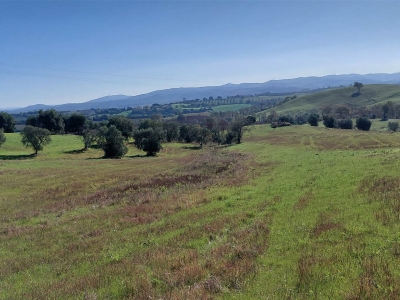 casa indipendente in vendita a Scansano
