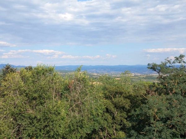 appartamento in vendita a Scansano