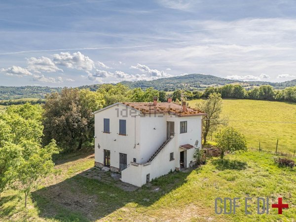 quadrivano in vendita a Scansano