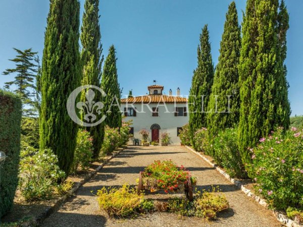 casa indipendente in vendita a Scansano