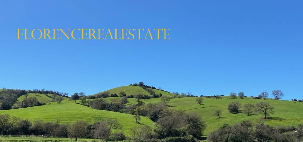 appartamento in vendita a Scansano