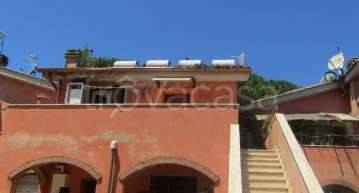 appartamento in vendita a Scansano in zona Pancole