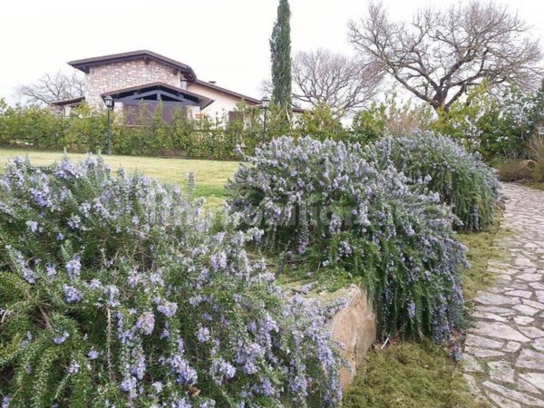 casa indipendente in vendita a Scansano