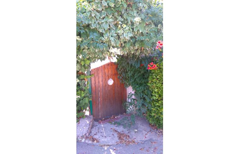 casa indipendente in vendita a Scansano in zona Poggioferro