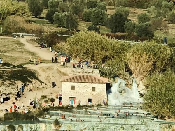 terreno agricolo in vendita a Scansano