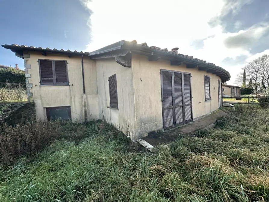 appartamento in vendita a Scansano