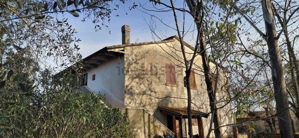 appartamento in vendita a Scansano