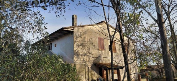 casa indipendente in vendita a Scansano
