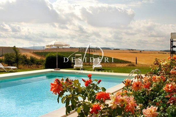 terreno agricolo in vendita a Scansano