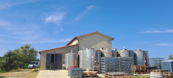 azienda agricola in vendita a Scansano in zona Polveraia