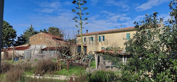 appartamento in vendita a Scansano