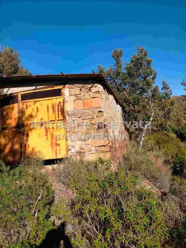 casa indipendente in vendita a Scansano in zona Pancole