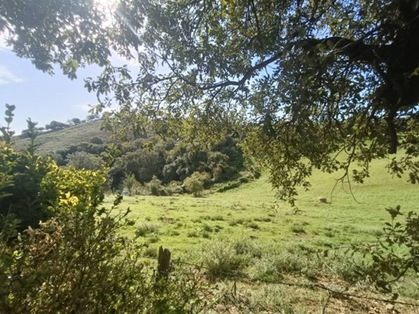 casa indipendente in vendita a Scansano in zona Polveraia