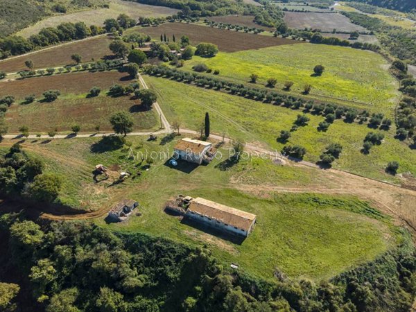 casa indipendente in vendita a Scansano