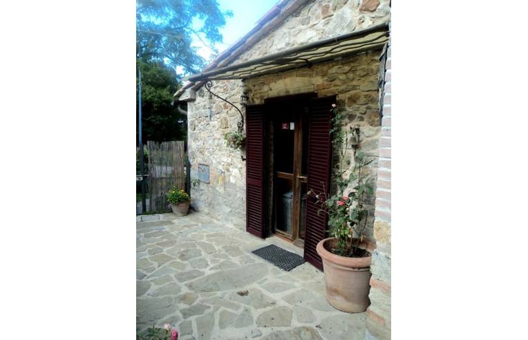 casa indipendente in vendita a Scansano in zona Murci