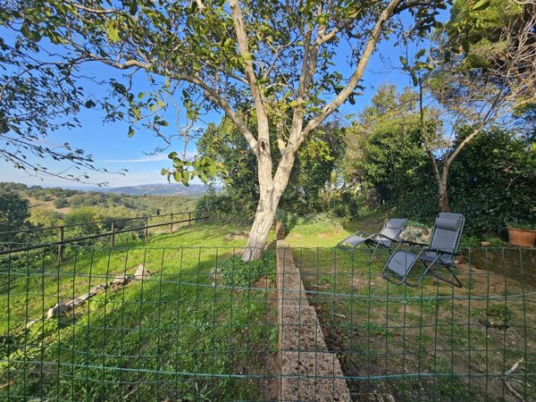 appartamento in vendita a Scansano