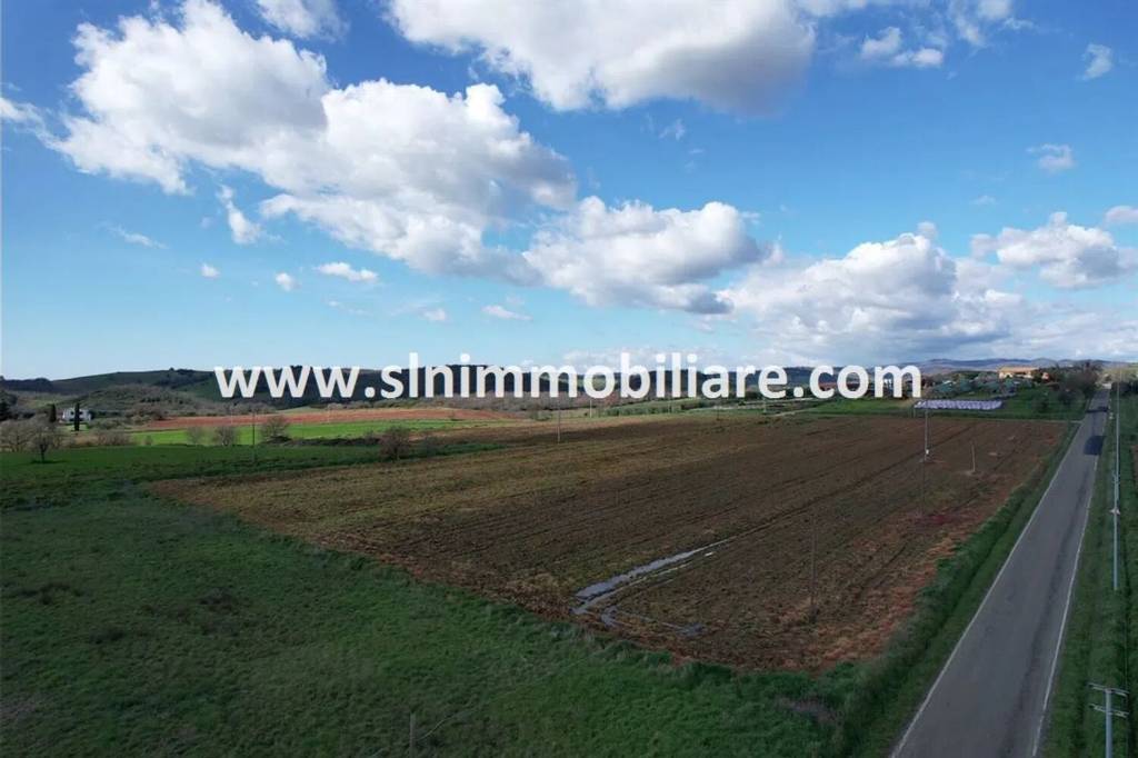 terreno agricolo in vendita a Scansano