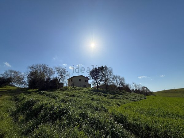 appartamento in vendita a Scansano in zona Pomonte