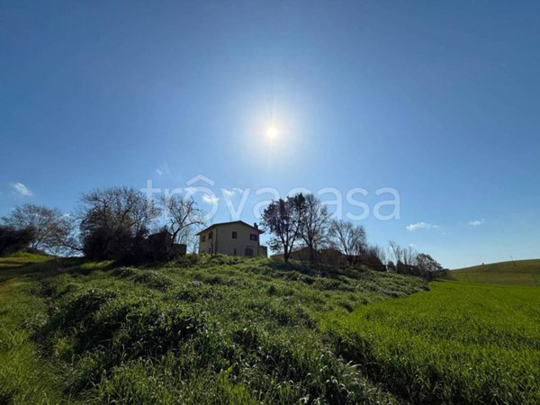 casa indipendente in vendita a Scansano in zona Pomonte