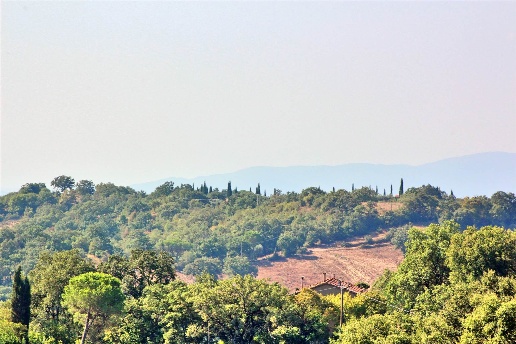 appartamento in vendita a Scansano