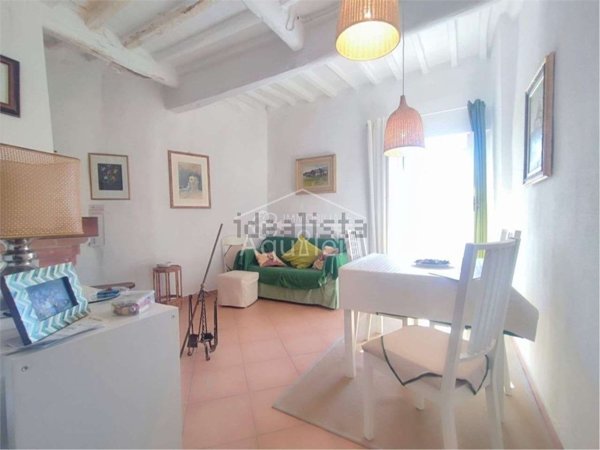 appartamento in vendita a Scansano