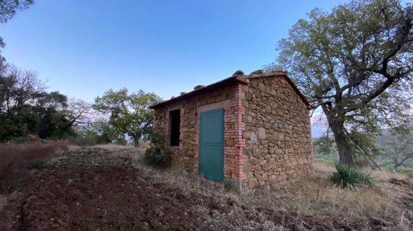 terreno agricolo in vendita a Scansano in zona Montorgiali