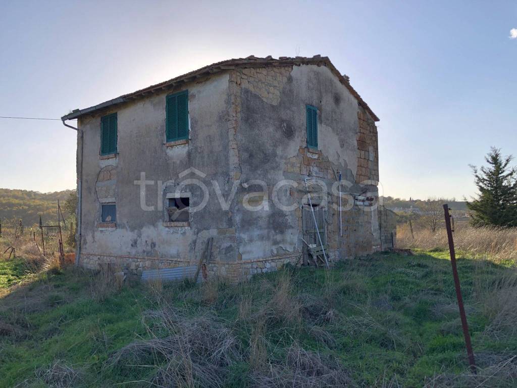 casa indipendente in vendita a Scansano in zona Pomonte