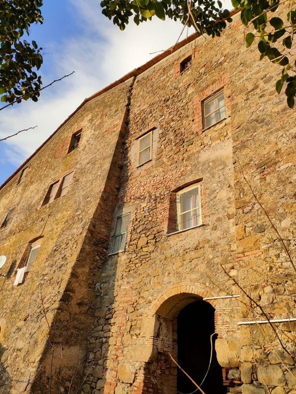 casa indipendente in vendita a Scansano