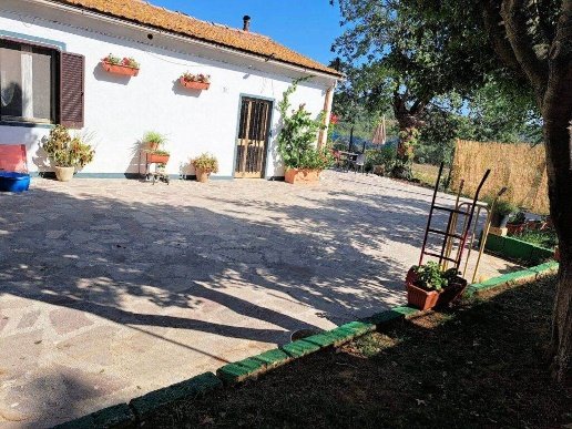 casa indipendente in vendita a Scansano in zona Pancole