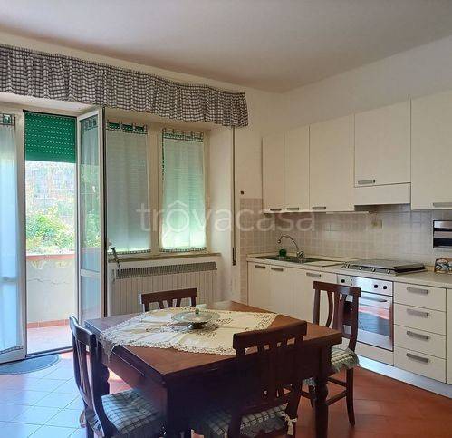 appartamento in vendita a Scansano