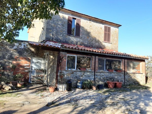 esavano in vendita a Scansano