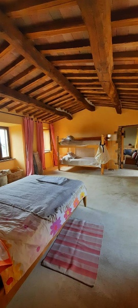 pentavano in vendita a Scansano