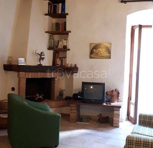 appartamento in vendita a Scansano