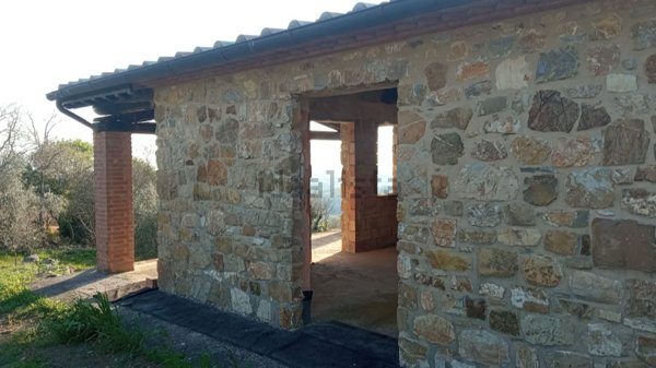 appartamento in vendita a Scansano