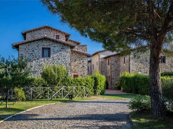 appartamento in vendita a Scansano