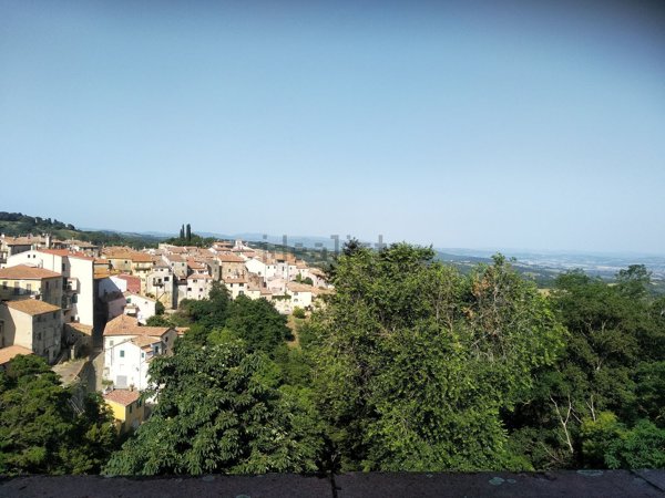 appartamento in vendita a Scansano