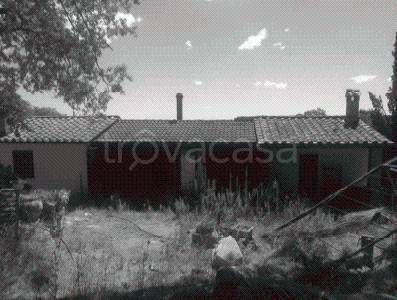 casa indipendente in vendita a Scansano