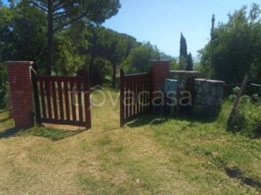 appartamento in vendita a Scansano