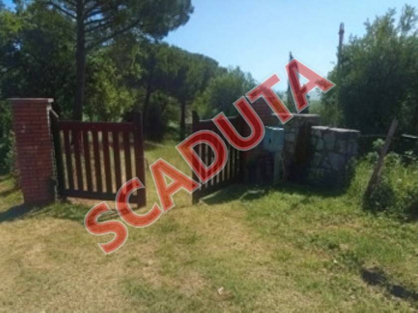 appartamento in vendita a Scansano