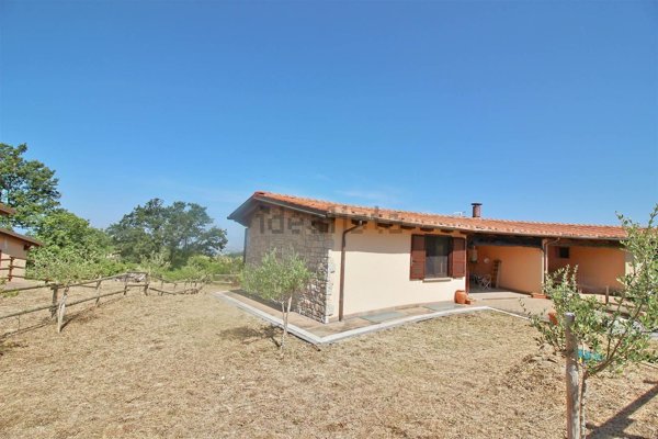 casa indipendente in vendita a Scansano