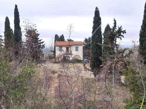 casa indipendente in vendita a Scansano in zona Pomonte
