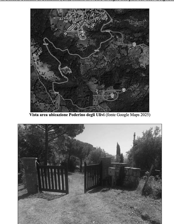 appartamento in vendita a Scansano