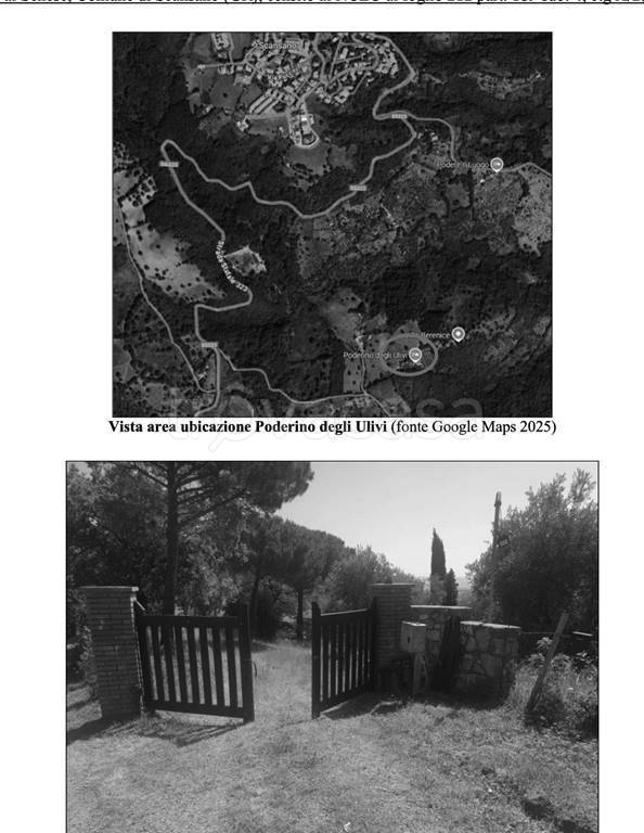 appartamento in vendita a Scansano